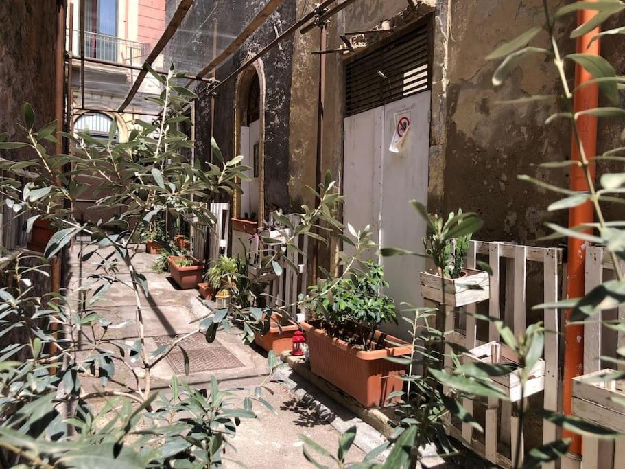 Suite Vicolo Lavico Catane Extérieur photo